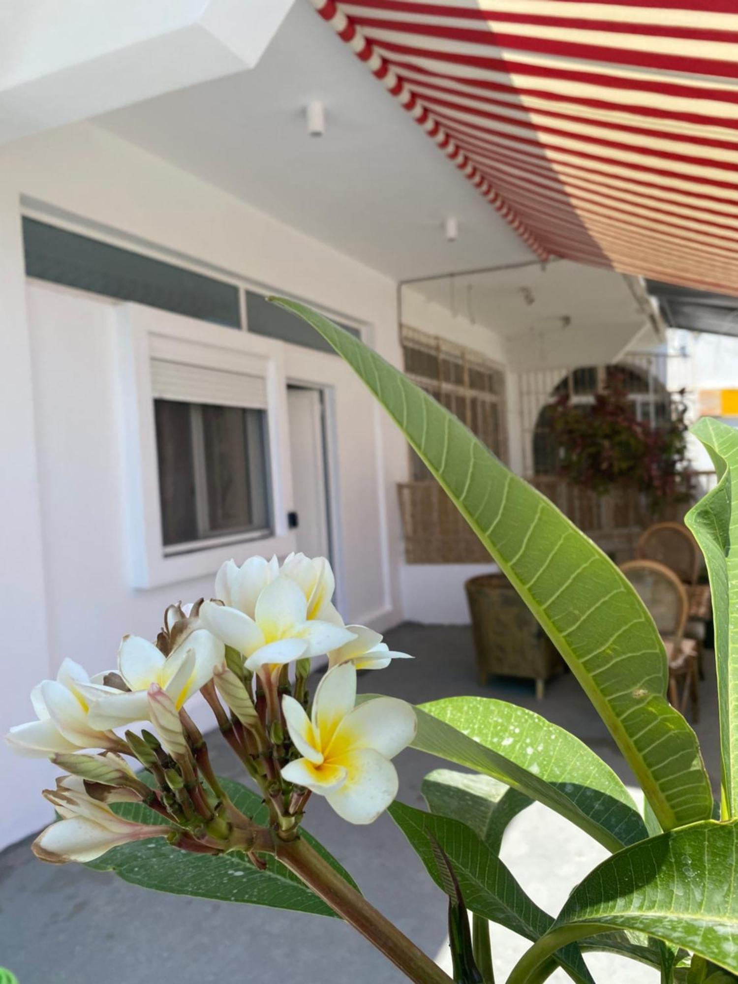 Flowers Lullaby Loft Tatil Evi