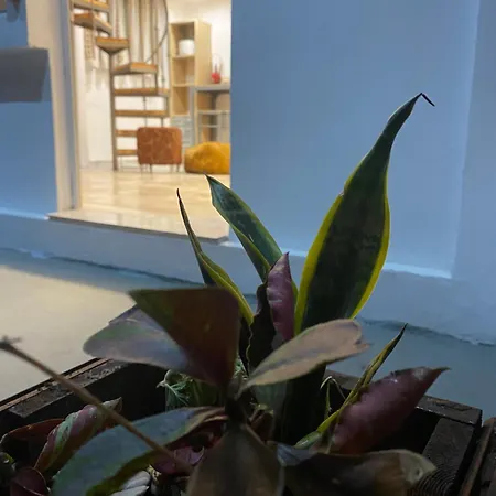 Flowers Lullaby Loft Afantou Exterior photo