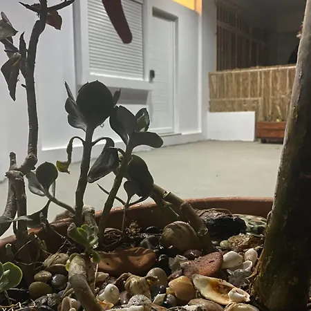 Flowers Lullaby Loft Afantou Exterior photo