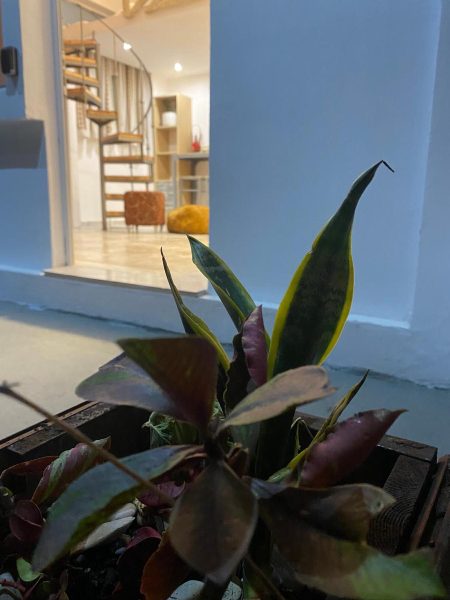 Flowers Lullaby Loft Holiday home