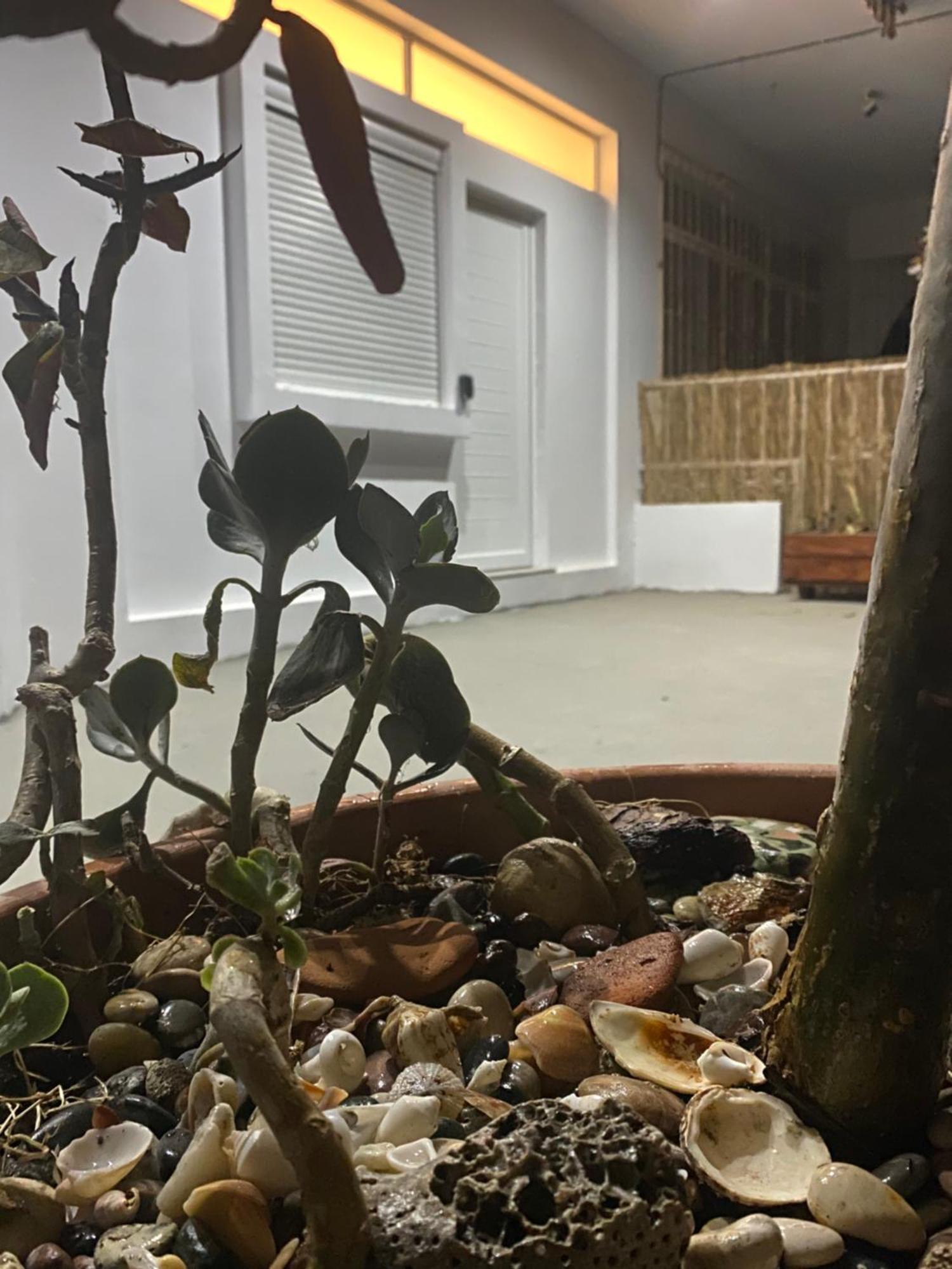 Holiday home Flowers Lullaby Loft Afantou